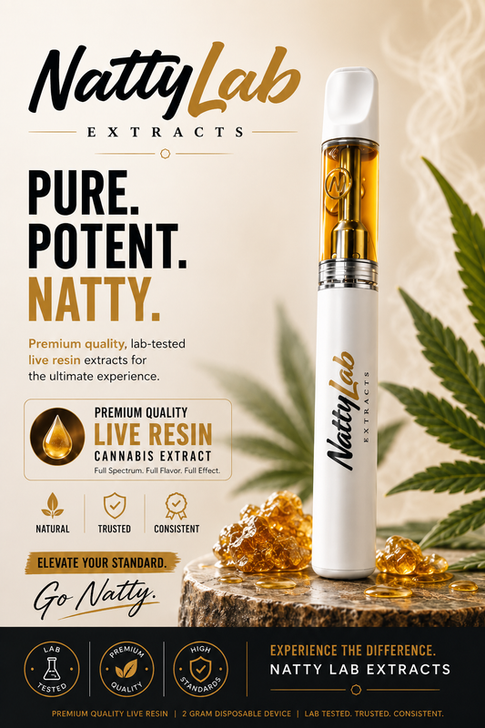 NATTY LAB EXTRACTS 2G DISPO