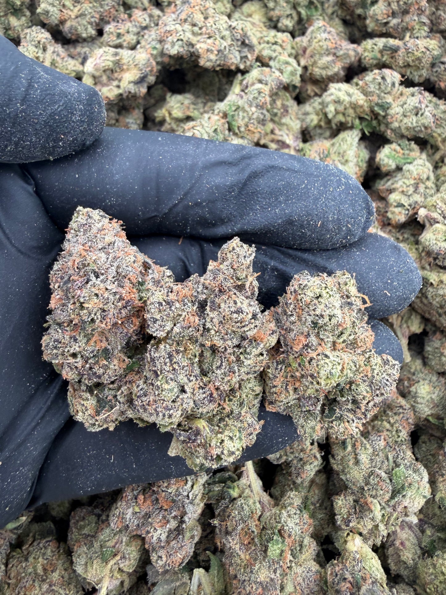 Candy gas