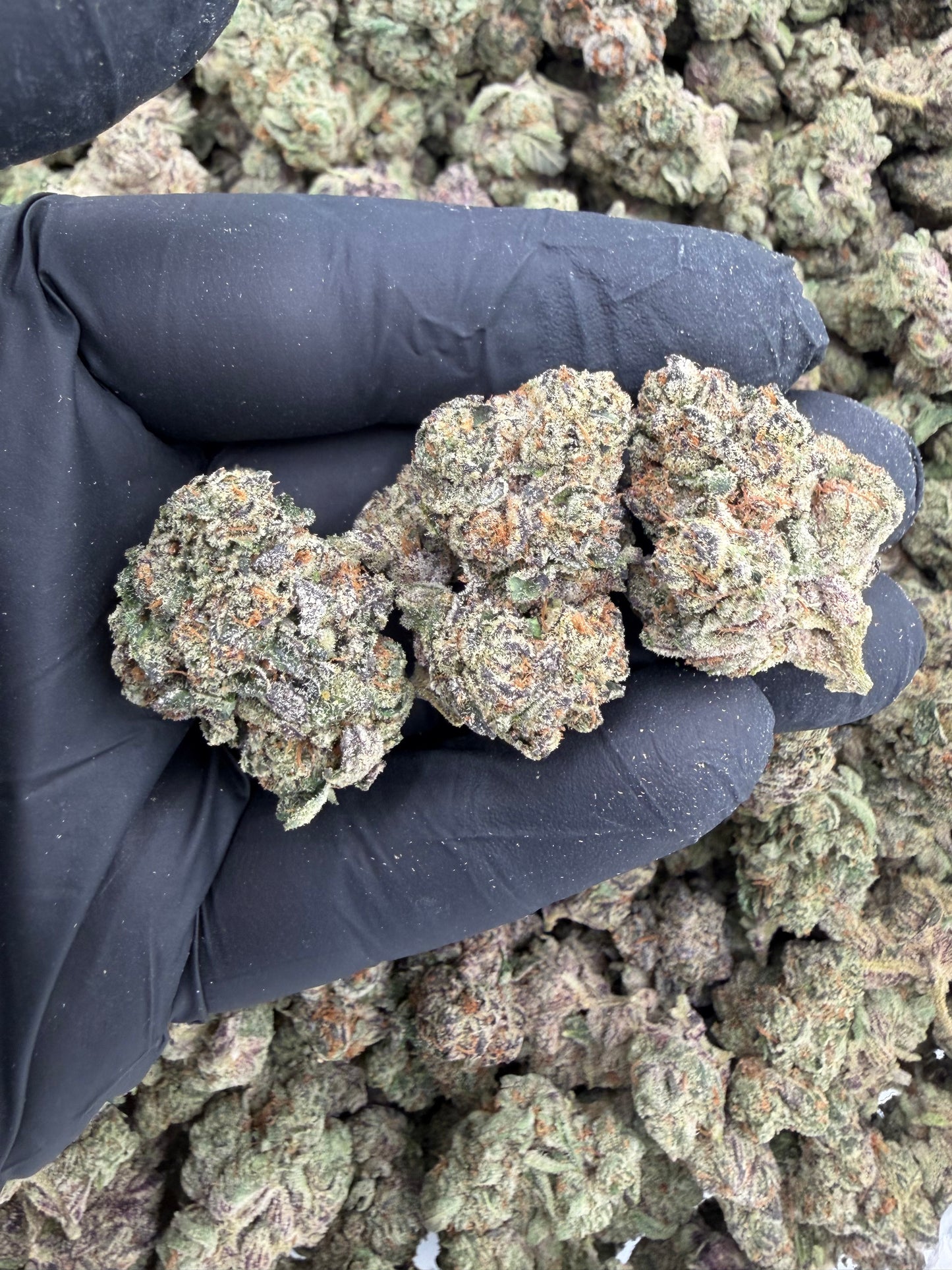 Alien warheads