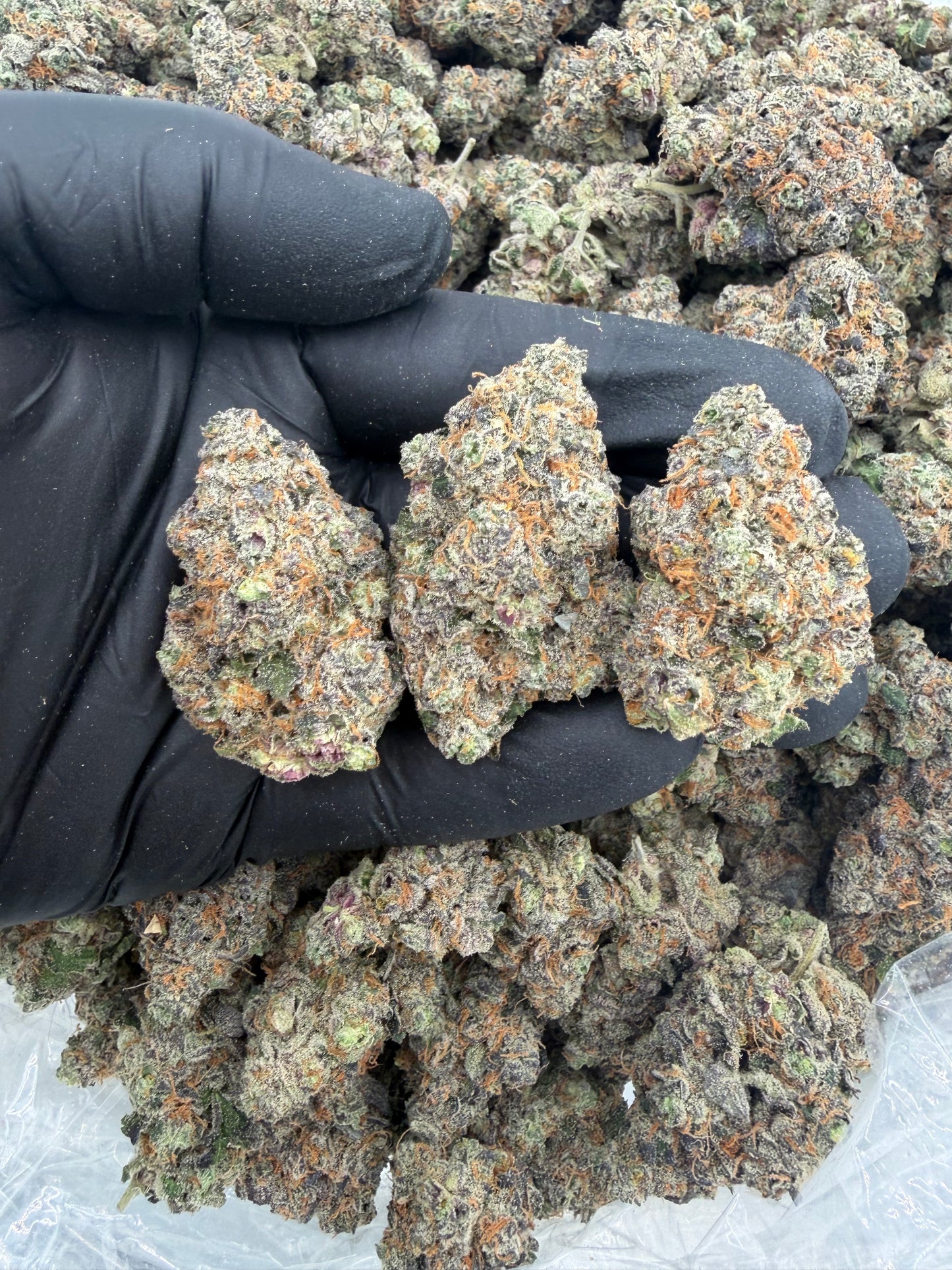 White dream