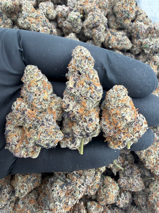 Rx sugar x gas cake