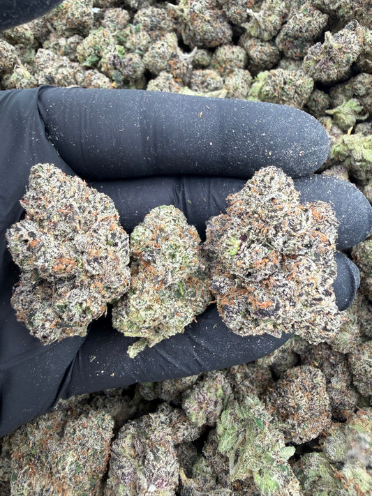 Lemon cherry gelato
