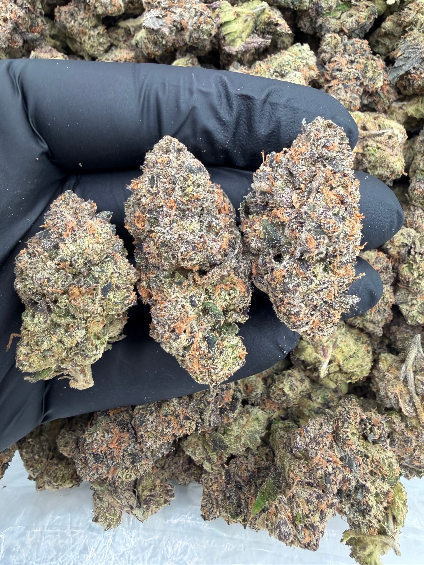 Lemon cherry z