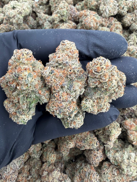 Rx sugar