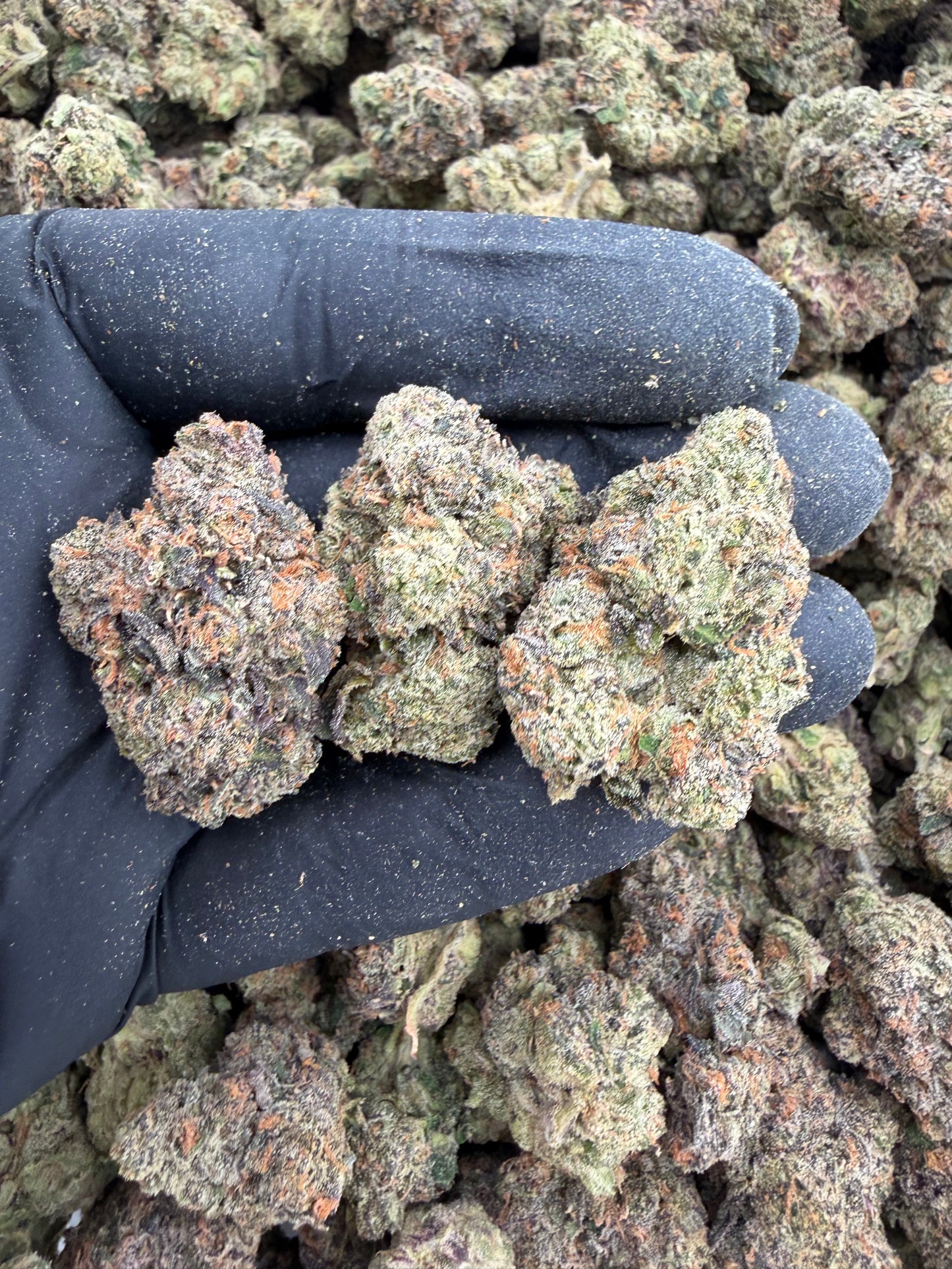 Frosted runtz