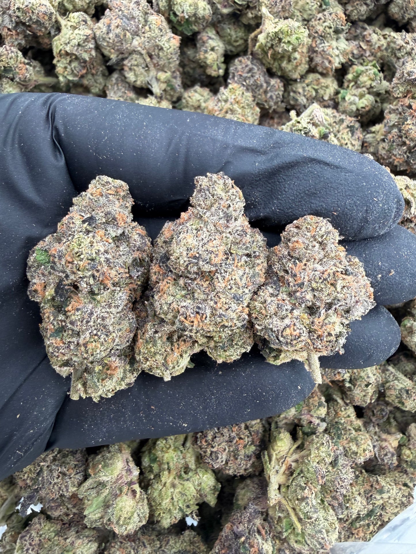 Lemon cherry  runtz