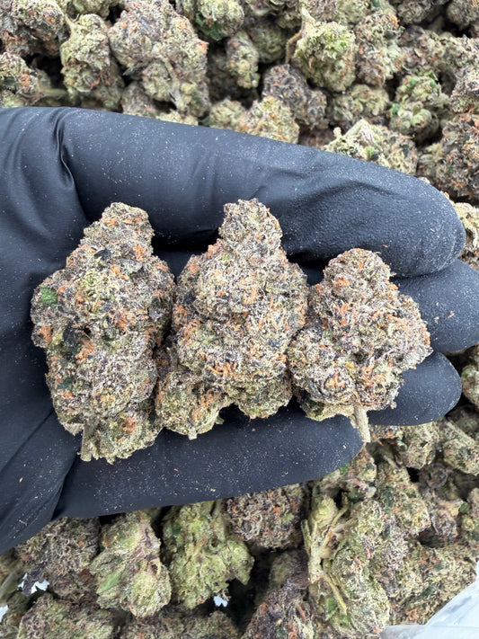 Lemon cherry  runtz