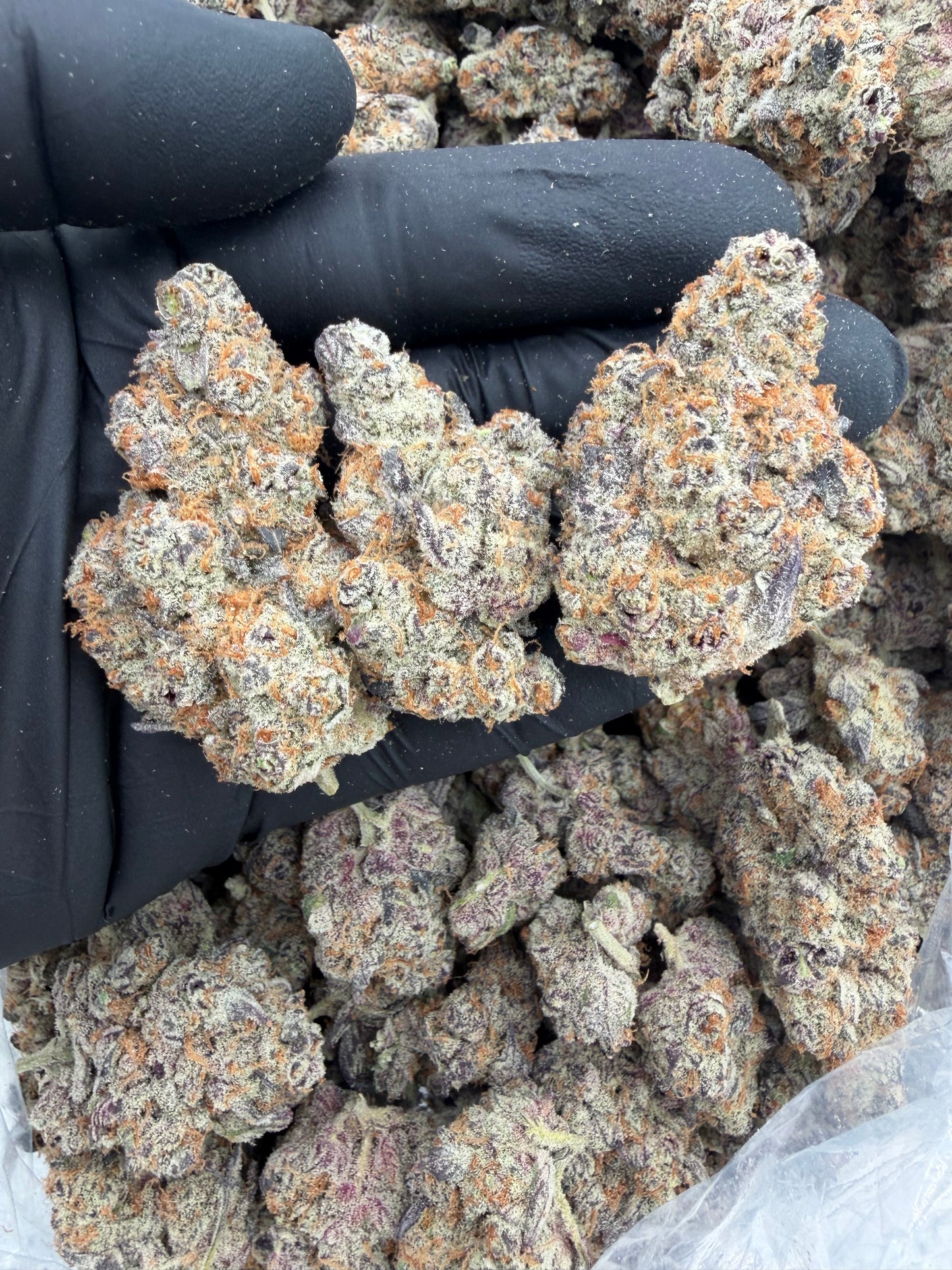 Super lemon haze