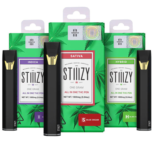 STIZZY 1G DISPO