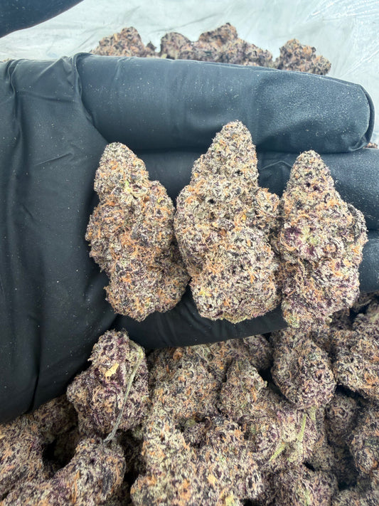 garlic gold rush