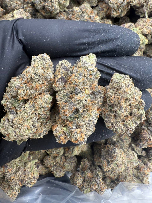 Kush Mintz
