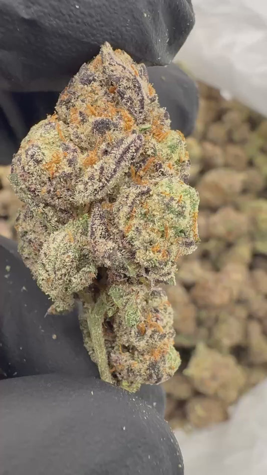 Berry Runtz