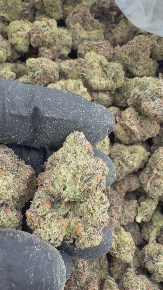 Frosted runtz