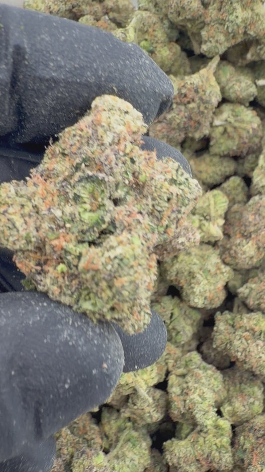 Candy gas #2