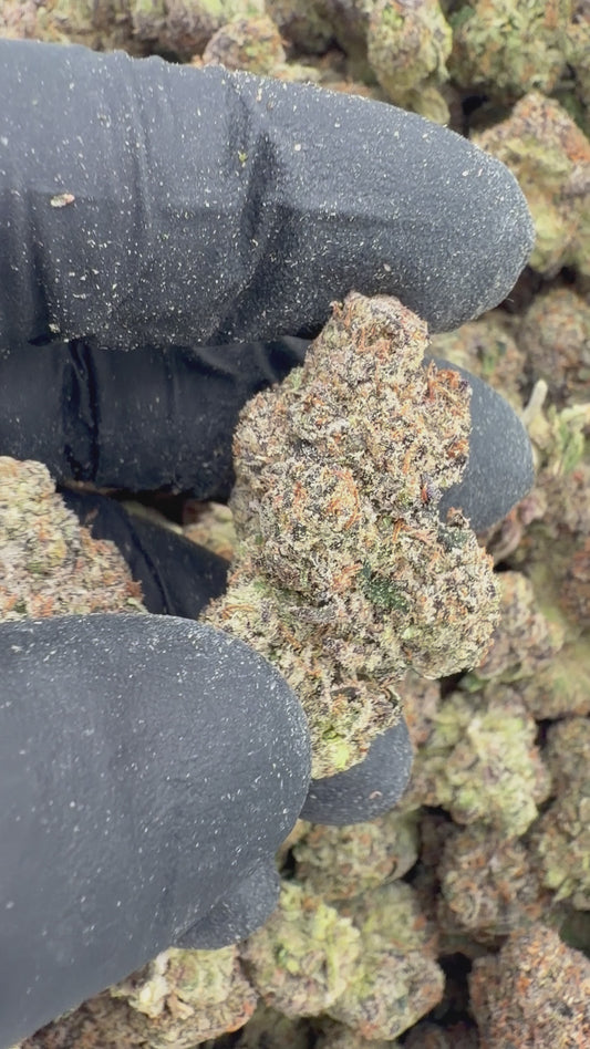Candy gelato