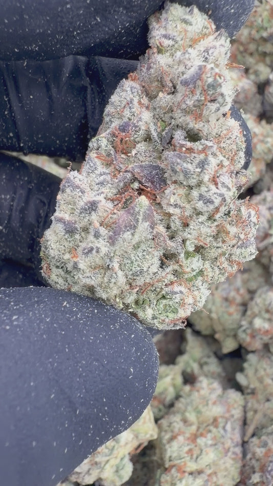 Durban poison