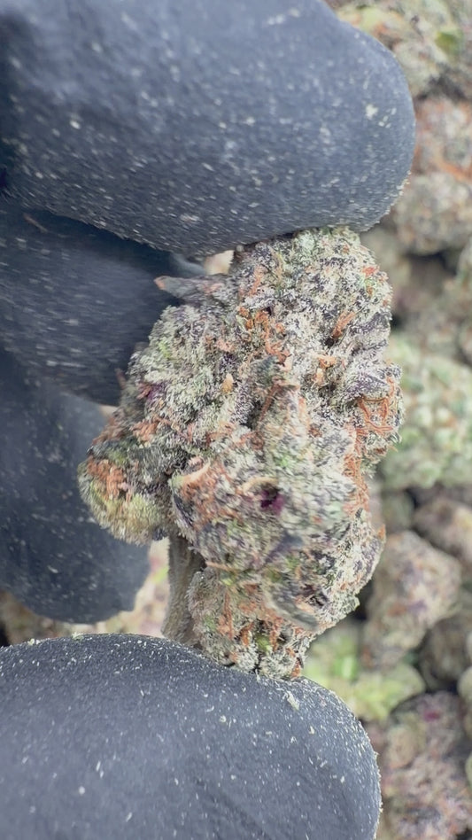 Black cherry bomb