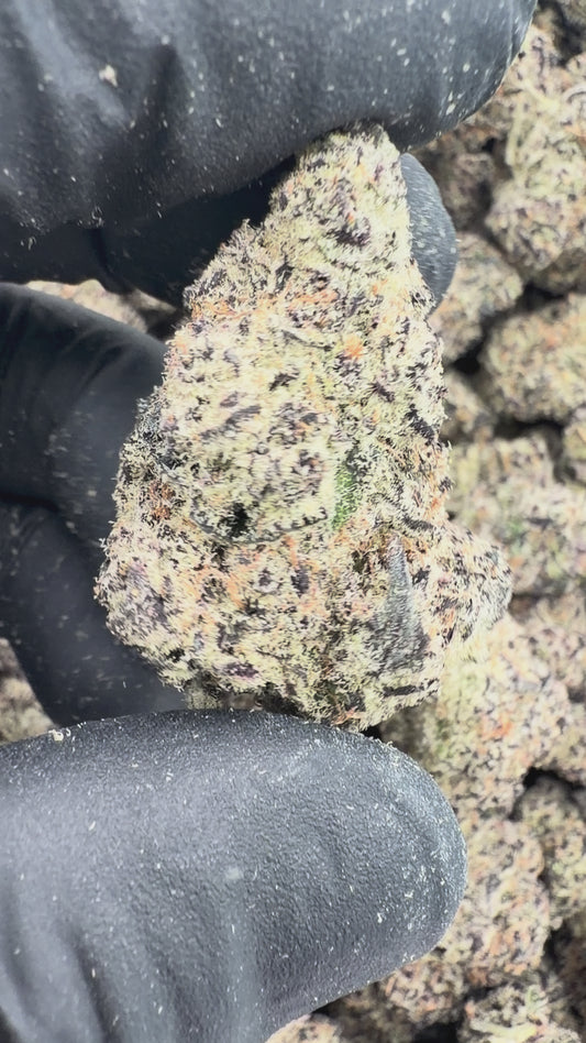 blue berry sugar